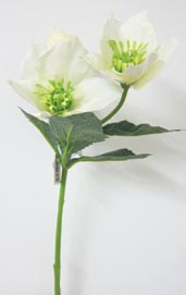 Christrose mit 2 Blüten 32cm